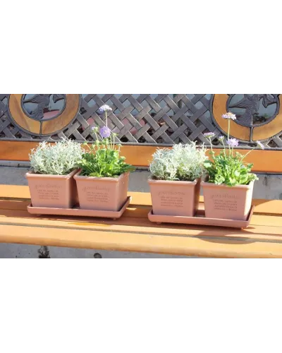 Hachiman fioriera ecologica per piante da giardino e interno