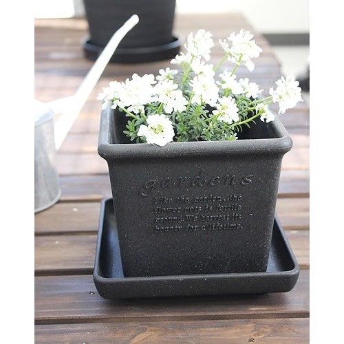 ecological square planter for garden and indoor plants