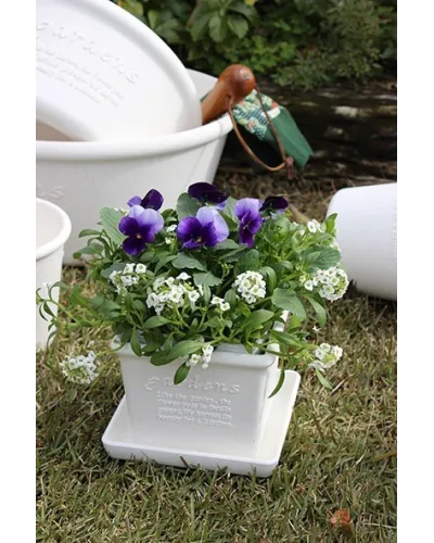 square saucer 16.5 x 16.5 cm in plastic