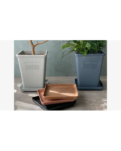 square or rectangular saucer in ecological plastic and wood shavings or recycled paper