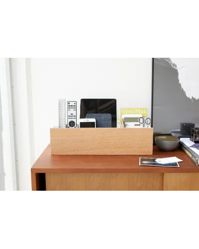 storage box for bedroom, hall, living room