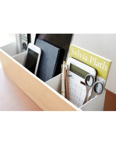 storage box for bedroom, hall, living room