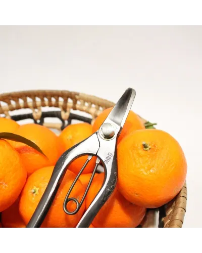 Forbici coglifrutta a doppia lama curva