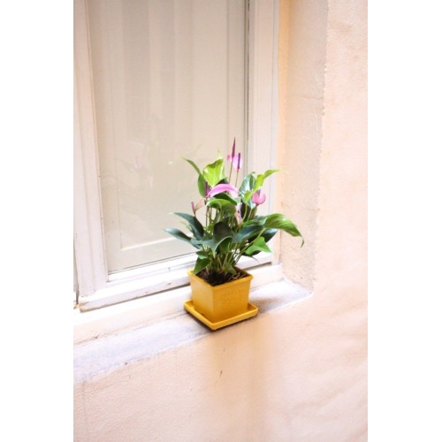 vaso quadrato per piante fiori in plastica per giardino e per interno