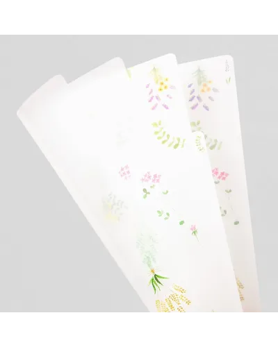 transparent folder for documents