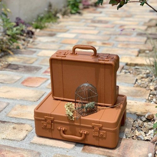 storage box container suitcase design