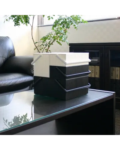 Scatola Portaoggetti Organizer