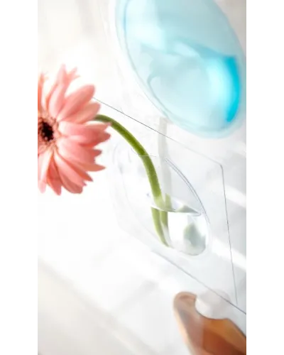 small decorative vase for windows and mirrors