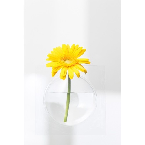 small designer vase
