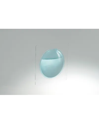 small decorative vase for windows and mirrors