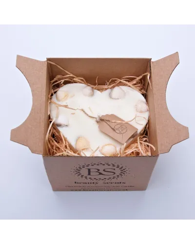 Candela artigianale ecologica in cera di soia