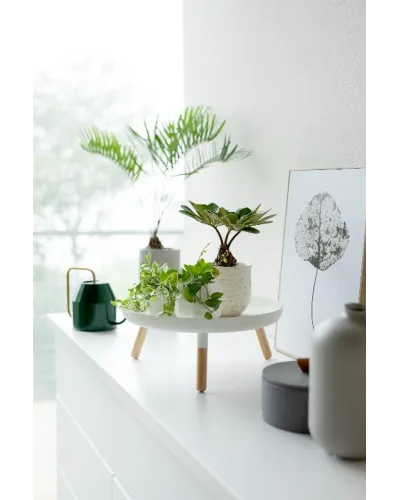 multipurpose tray with wooden legs