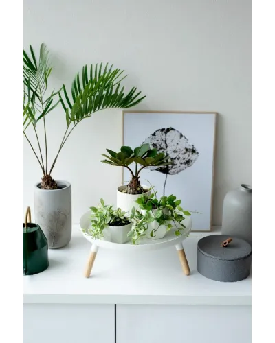 multipurpose tray with wooden legs