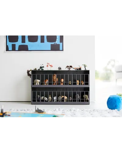 storage display shelf
