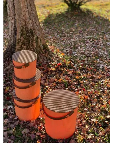 Multi-purpose bucket: storage, stool for home and office