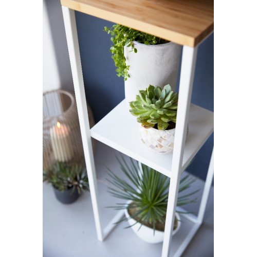 shelf with wooden top plate