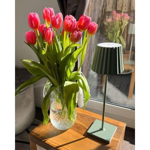 Rechargeable LED lamp for table and floor