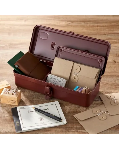 cassetta in acciaio per arnesi e oggetti