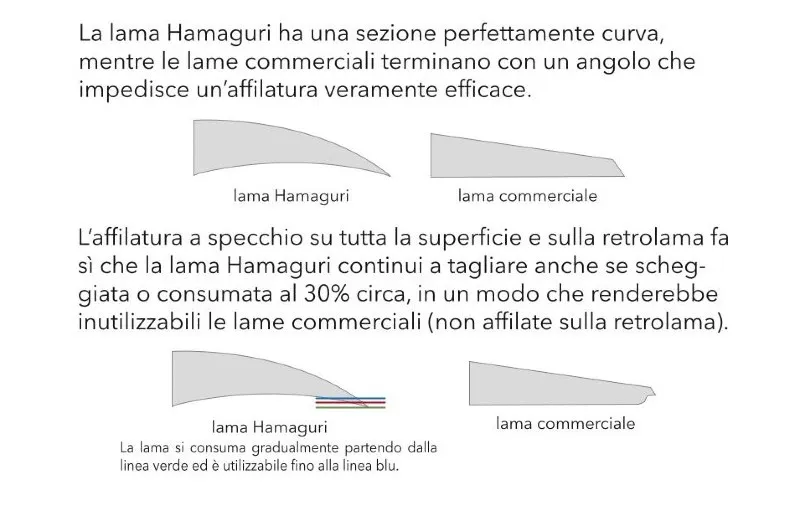 Forbici Multiuso 200mm In Acciaio Inox | Potatura, Fai Da Te, Ufficio | Con Fodero Magnetico E Blocco Sicurezza (Bianco/Grigio)